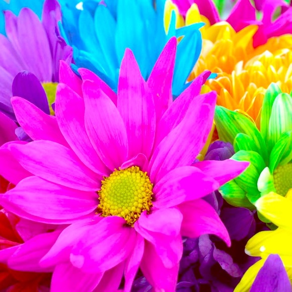 Meet your Posher, Mayra - Picture 1 of 1